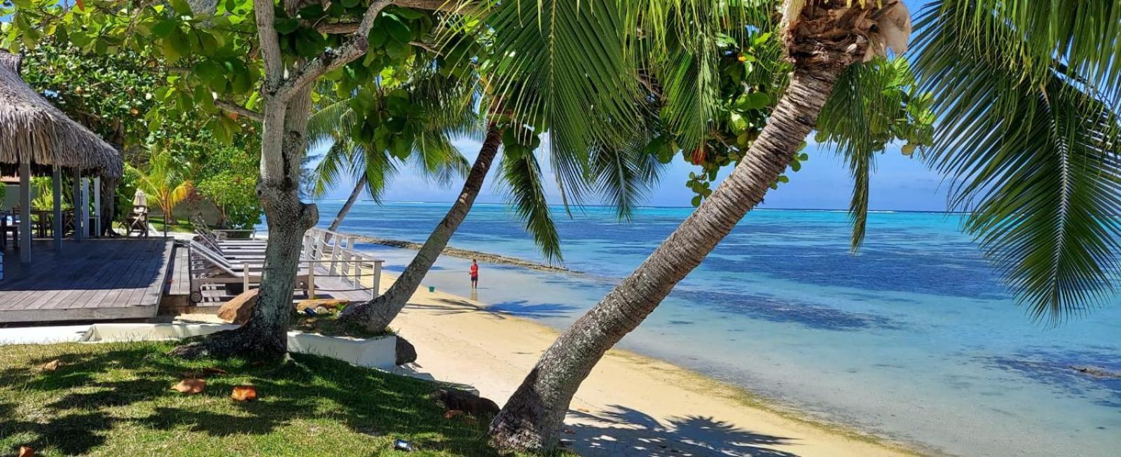 Moorea Island Beach Hotel ภายนอก รูปภาพ