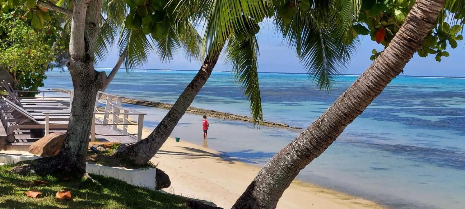 Moorea Island Beach Hotel ภายนอก รูปภาพ