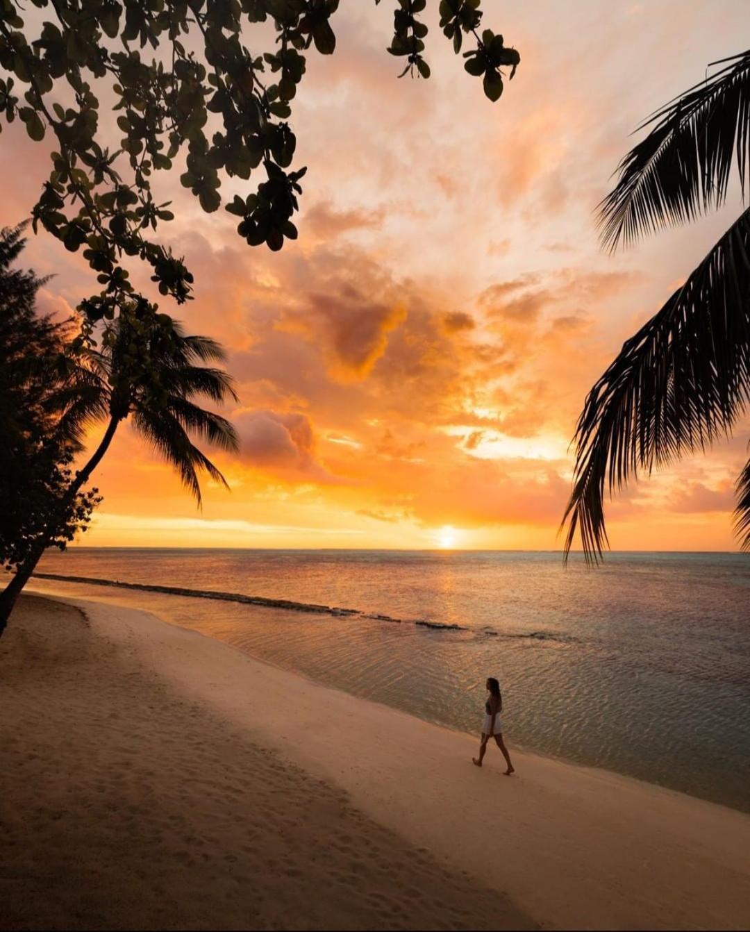Moorea Island Beach Hotel ภายนอก รูปภาพ